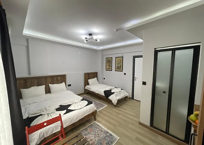 Deluxe Valeria 2* 伊斯坦布尔